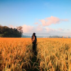 woman in black hijab headscarf walking on field