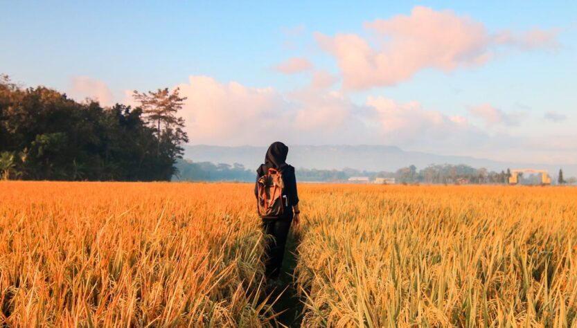 woman in black hijab headscarf walking on field