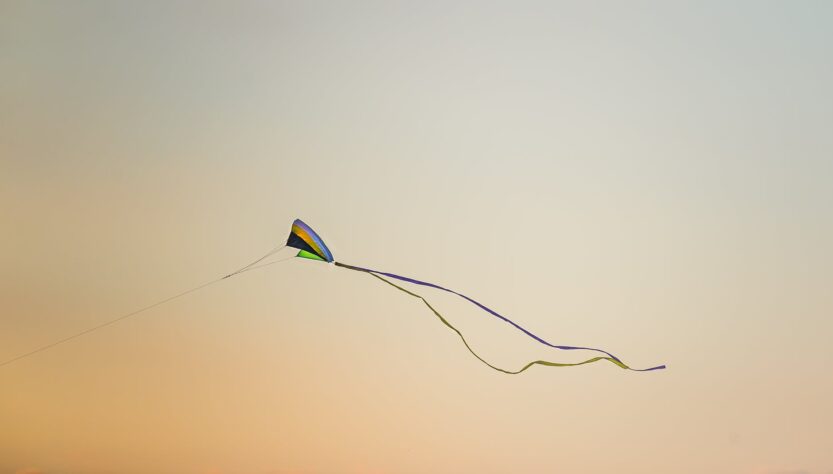 sea flight dawn landscape